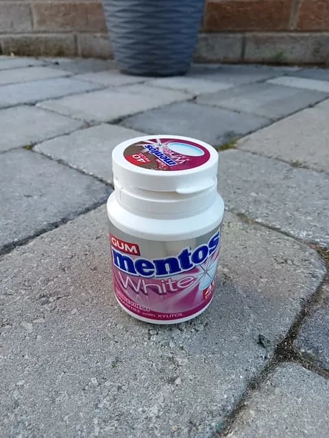 Mentos White Gum