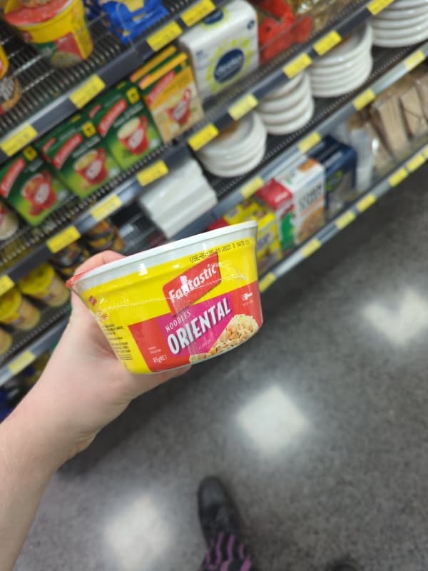 Fantastic Noodles Oriental Flavor