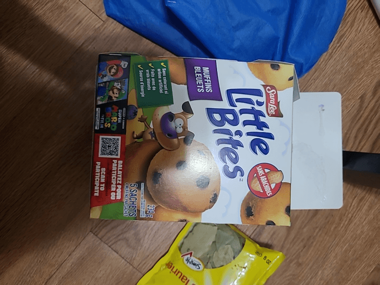 Sara Lee Little Bites Muffins Bleuets