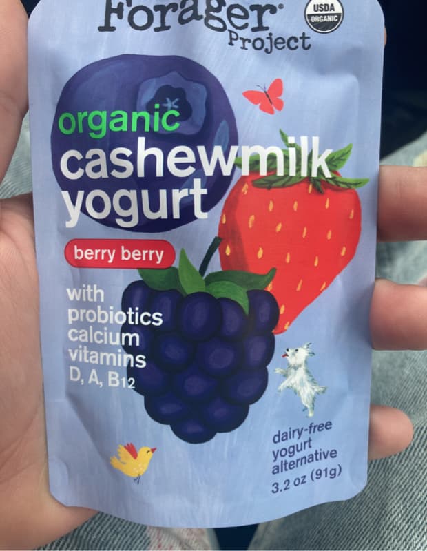 Forager Project Organic Cashewmilk  Yogurt Alternative Berry Berry, Dairy Free