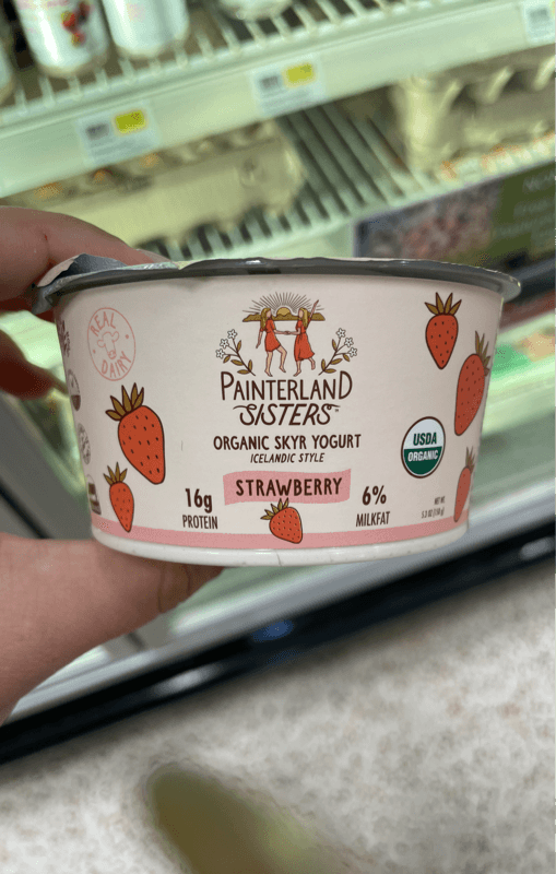 Painterland Sisters Organic Skyr Yogurt Icelandic Style Strawberry