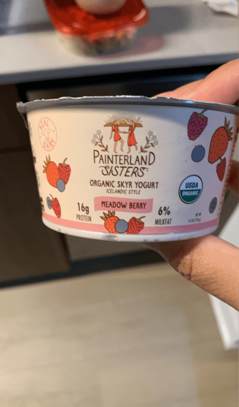 Painterland Sisters Icelandic Style Meadow Berry Organic Skyr Yogurt