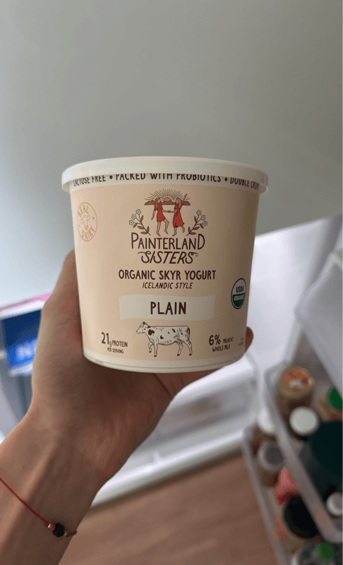 Painterland Sisters Organic Skyr Yogurt Icelandic Style Plain