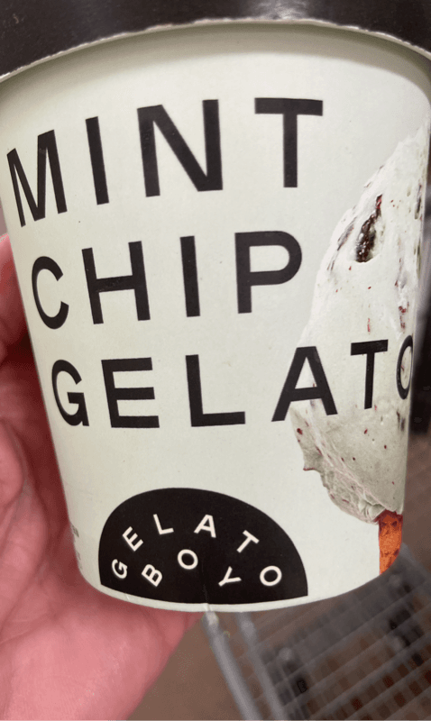 Gelato Boy Mint Chip Gelato