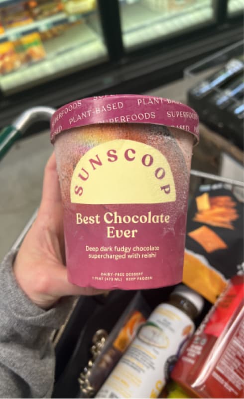 Sunscoop Best Chocolate Ever Deep Dark Fudgy Chocolate Supercharged With Reishi