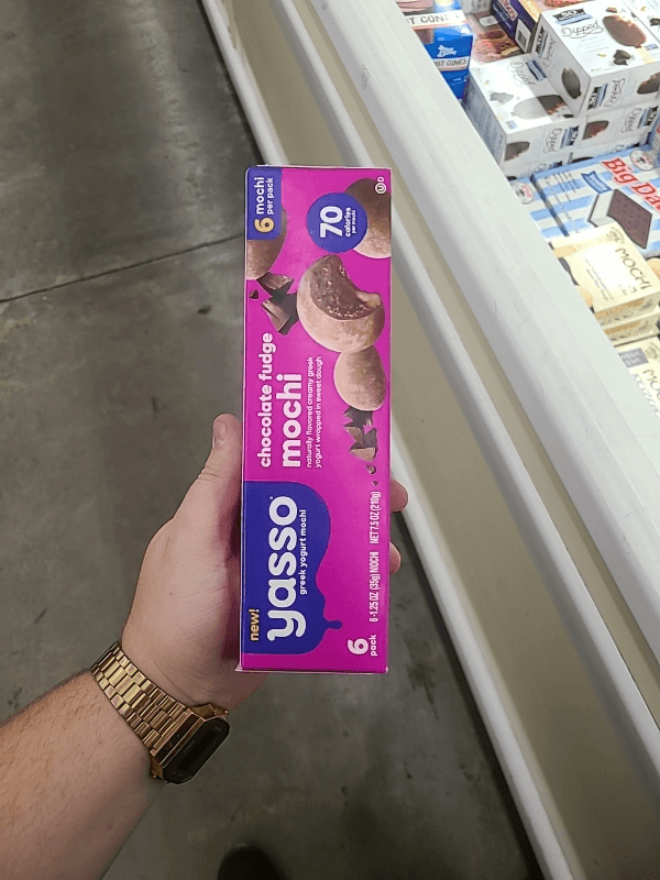 Yasso Greek Yogurt Mochi Chocolate Fudge Mochi