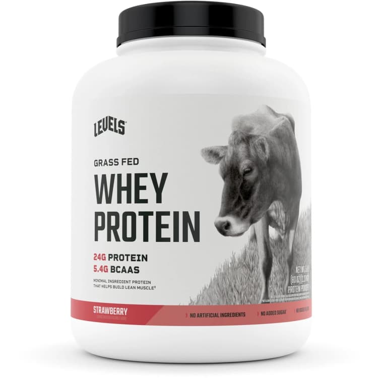 Levels Grass Fed Whey Protein Strawberry Protein Powder