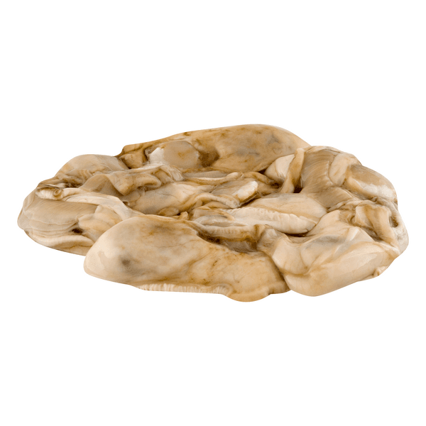 Oysters Shucked Fresh