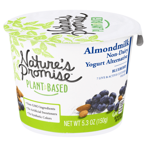 Nature'S Promise Plant-Based Almondmilk Non-Dairy Yogurt Blueberry