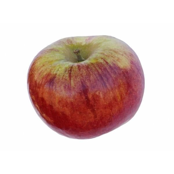 Cortland Apples