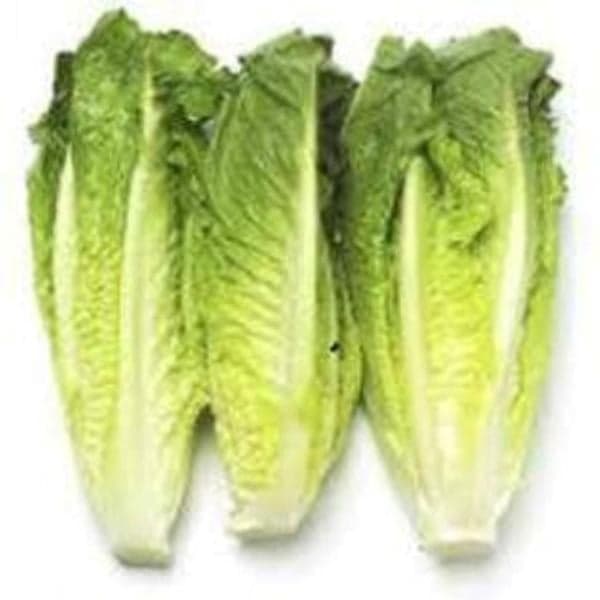 Romaine Hearts Lettuce Organic
