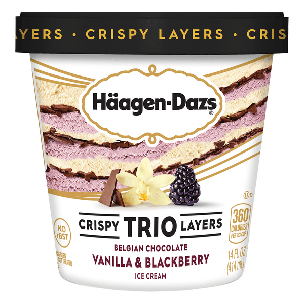 Haagen-Dazs Trio Ice Cream Belgian Chocolate Vanilla & Blackberry