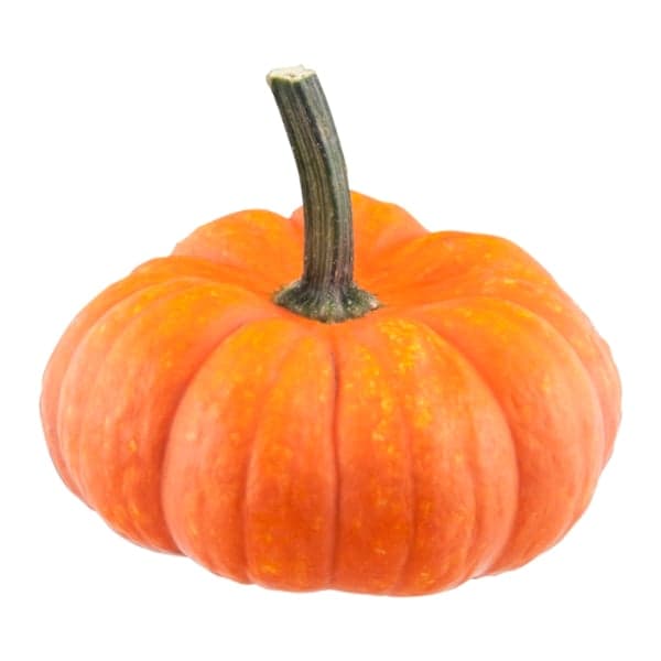 Pumpkins Mini