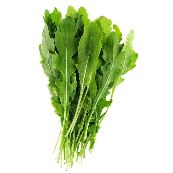 Arugula Lettuce Fresh