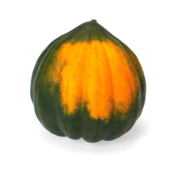 Acorn Squash Organic