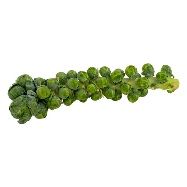 Brussels Sprouts Stalk