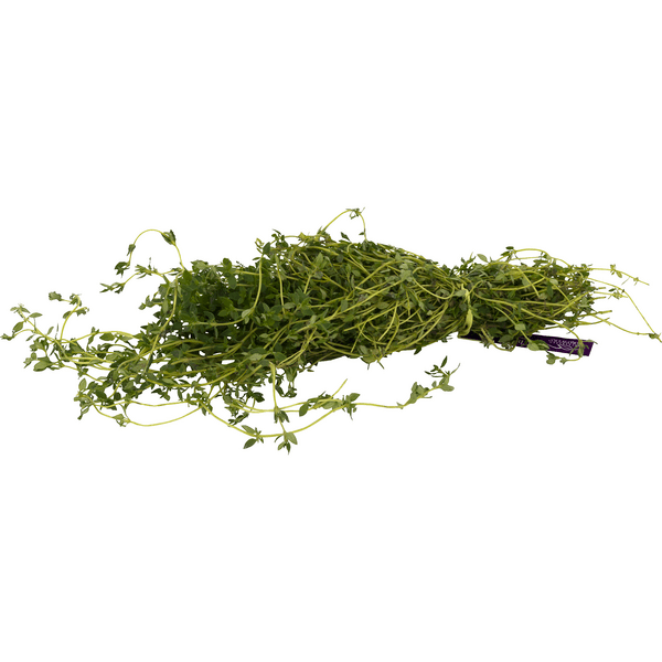 Stop & Shop Thyme Fresh
