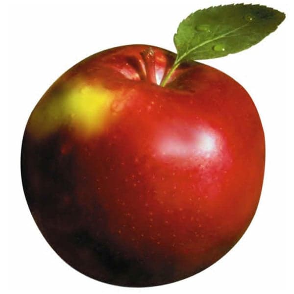 Empire Apples