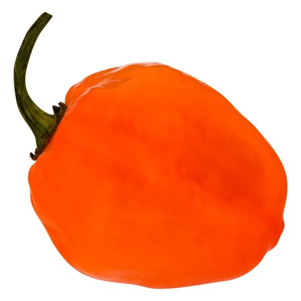 Habanero Peppers Red