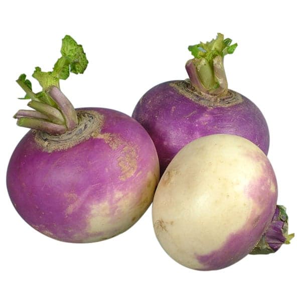 Turnips Purple Top