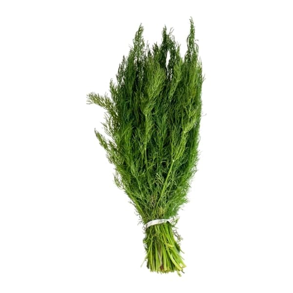Dill Fresh