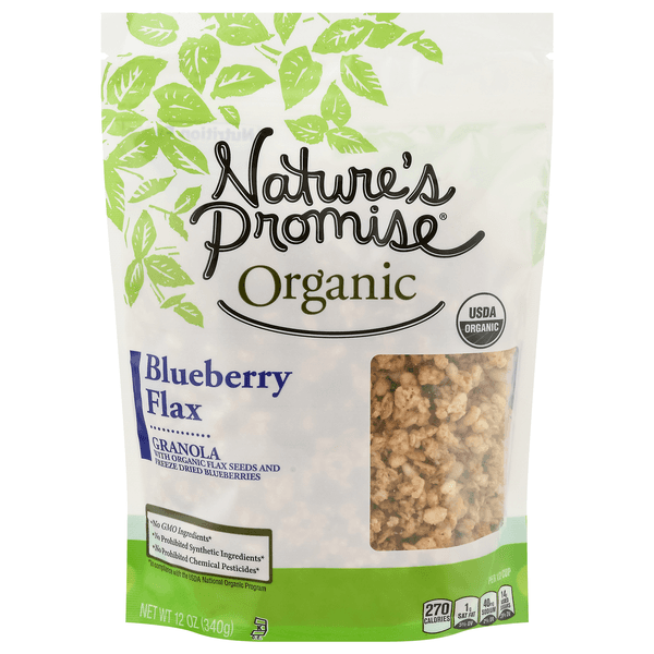 Nature'S Promise Organic Granola Blueberry Flax