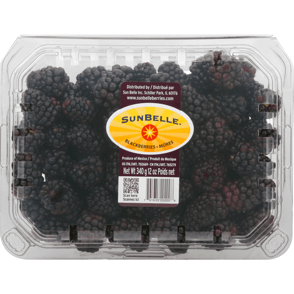 Sun Belle Fresh Blackberries