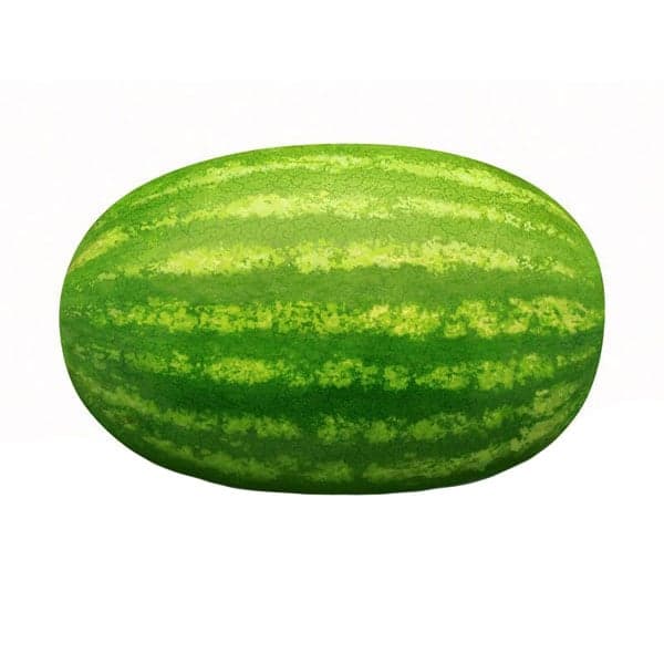 Dhf Seeded Watermelon