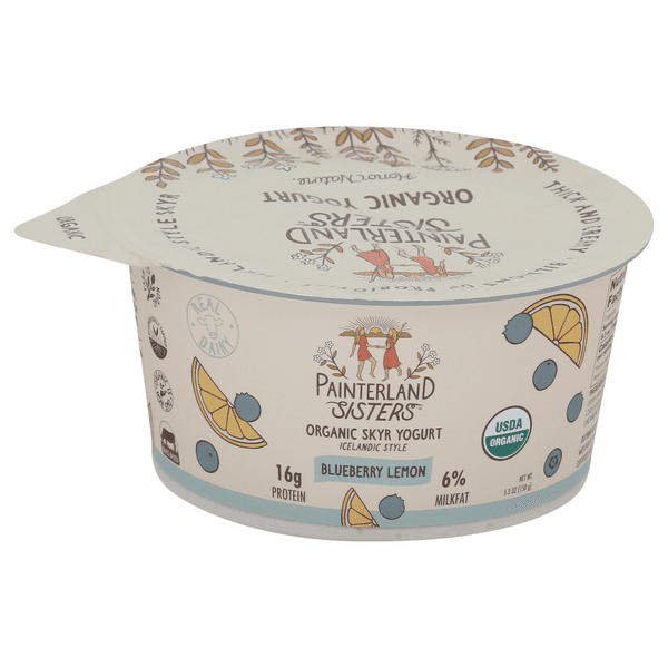 Painterland Sisters Organic Blueberry Lemon Skyr Yogurt