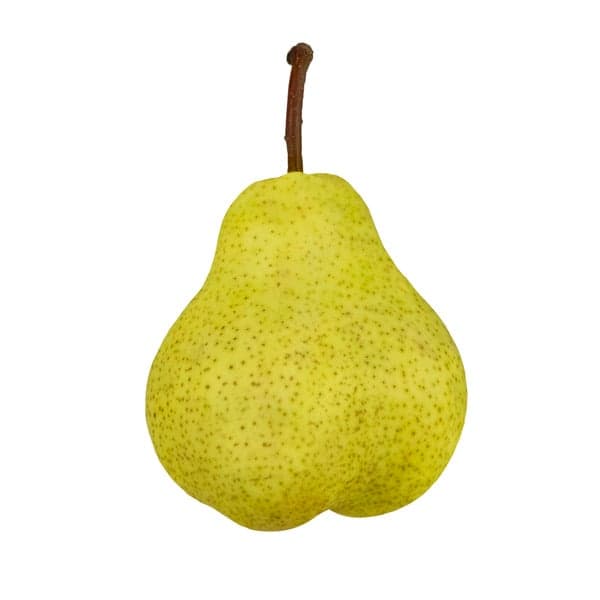 Pears Bartlett