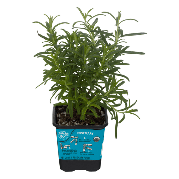 That'S Tasty Rosemary Organic