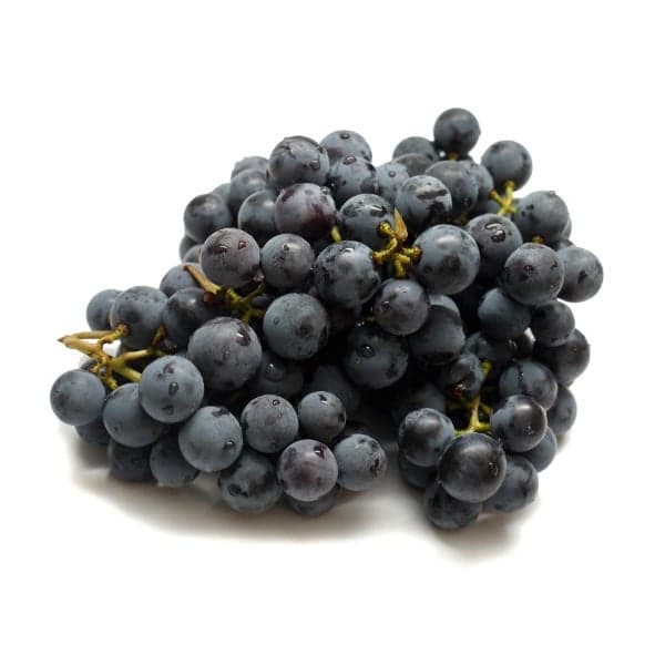 Grapes Concord