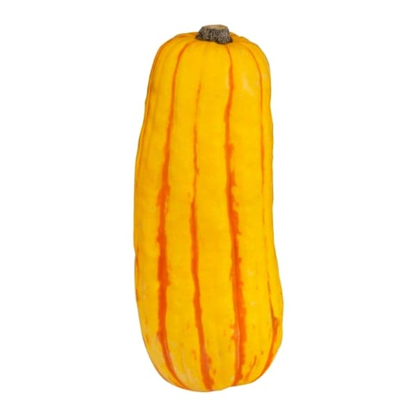 Delicata Squash