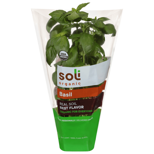 Soli Organic Basil
