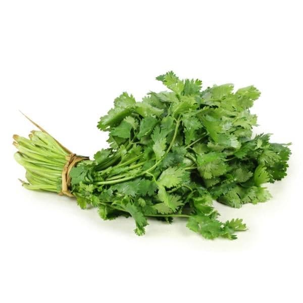 Fresh Cilantro