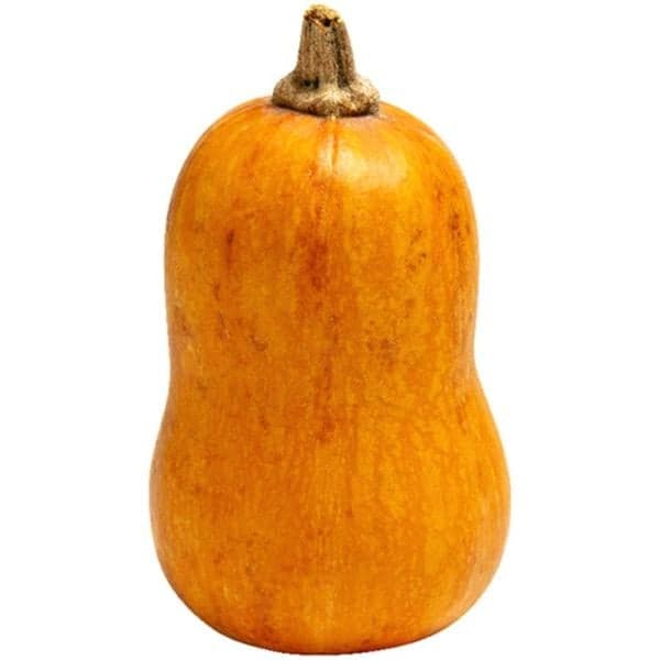 Honeynut Squash