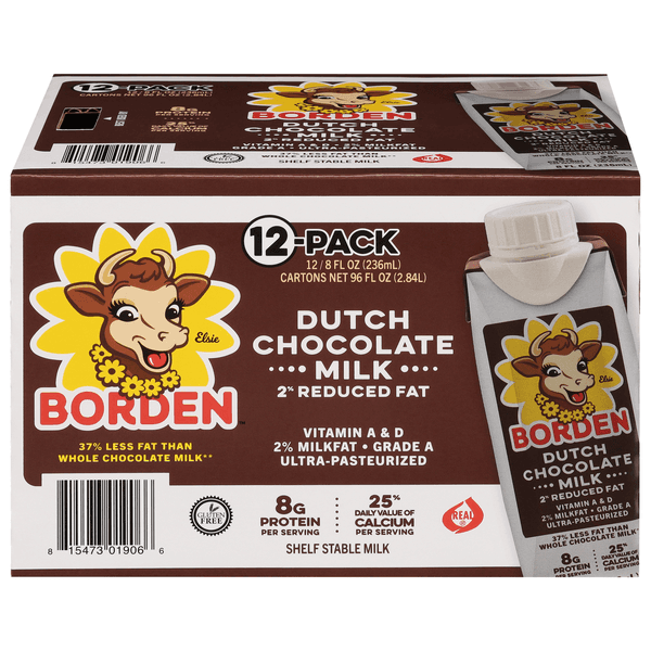 Borden 2% Reduced Fat Dutch Chocolate Milk - Shelf Stable