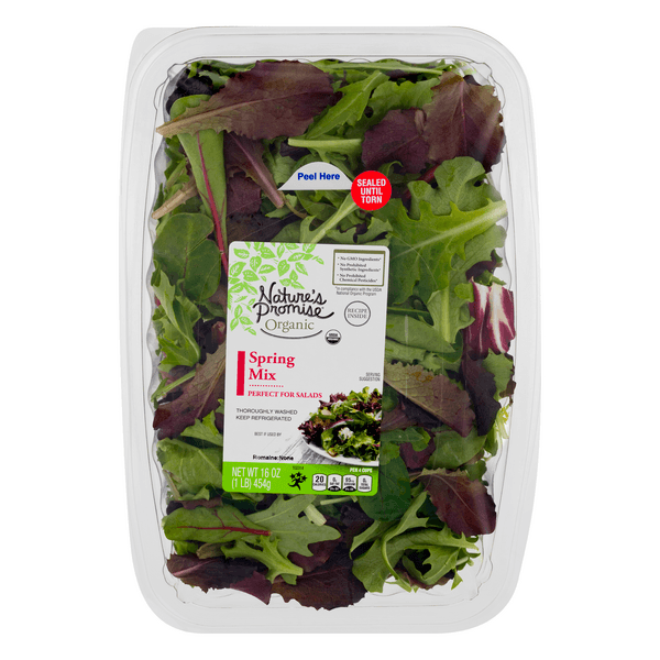 Nature'S Promise Organic Spring Mix Salad Blend