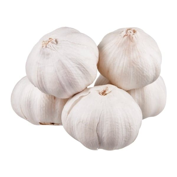 Garlic Bulb