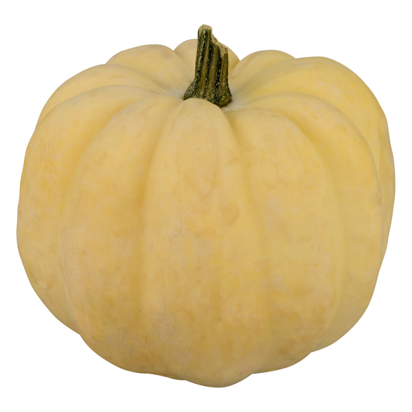 White Acorn Squash