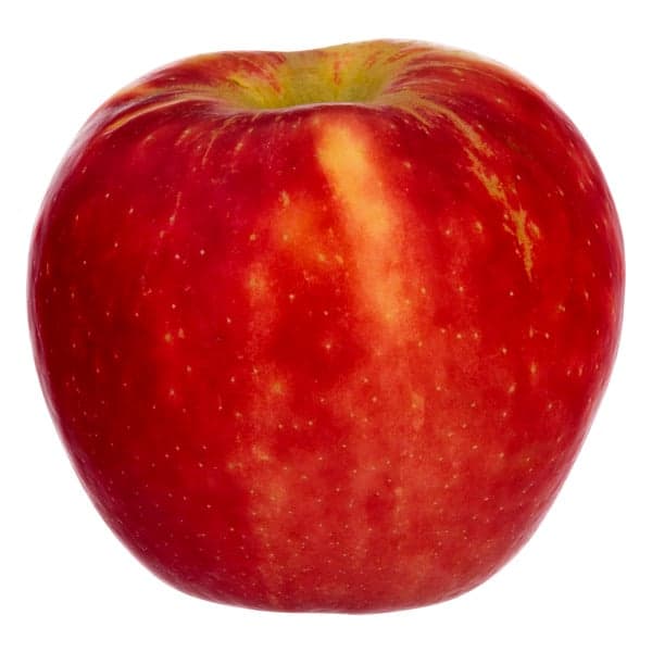 Apples Cosmic Crisp