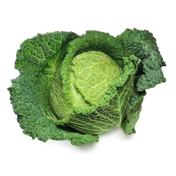 Savoy Cabbage