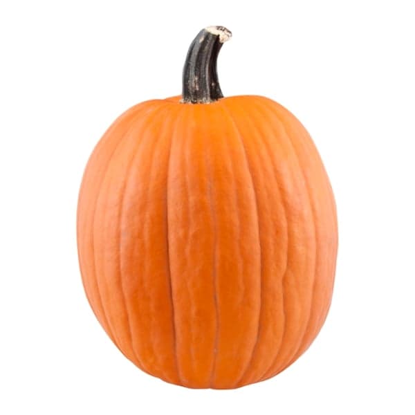 Carving Pumpkins (Medium - Large