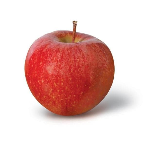 Apples Cameo