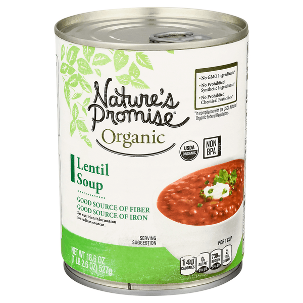 Nature'S Promise Organic Lentil Soup