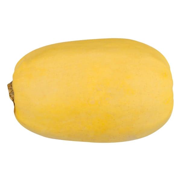 Spaghetti Squash Organic
