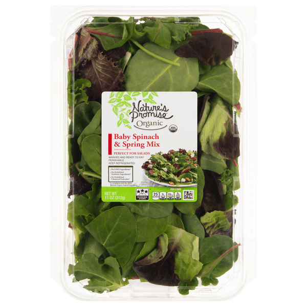 Nature'S Promise Organic Salad Baby Spinach & Spring Mix