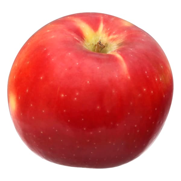 Apples Sugarbee