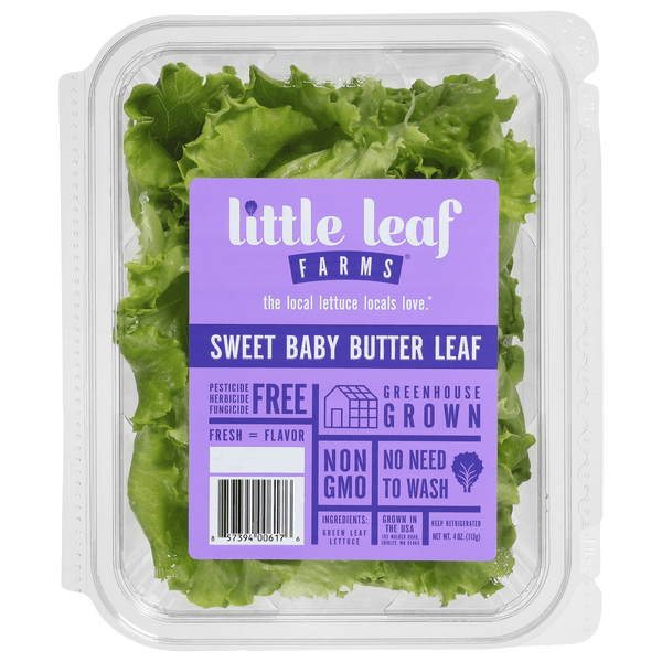 Sweet Baby Butter Lettuce