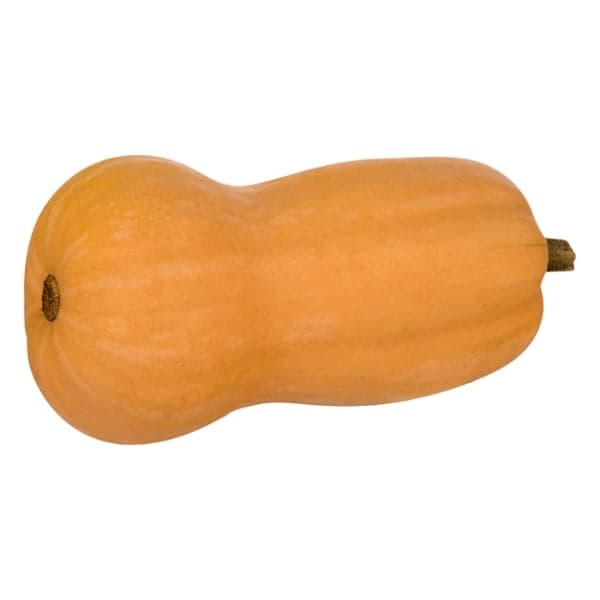 Squash Butternut Organic